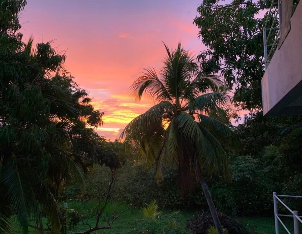 WhatsApp Image 2025-11-04 at 9.03.41 PM