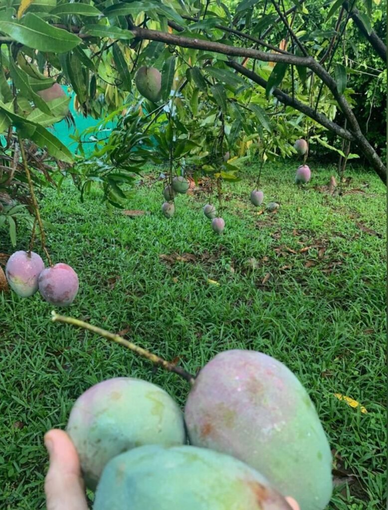 WhatsApp Image 2025-11-04 at 9.03.42 PM (2)