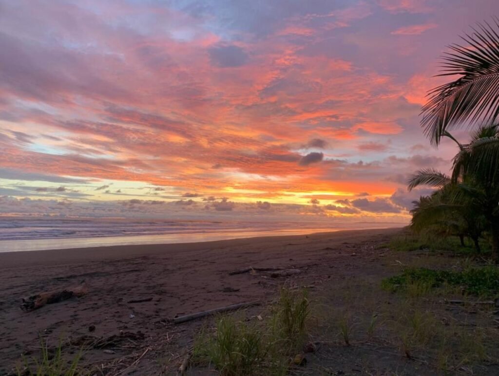 WhatsApp Image 2025-11-04 at 9.03.43 PM (3)