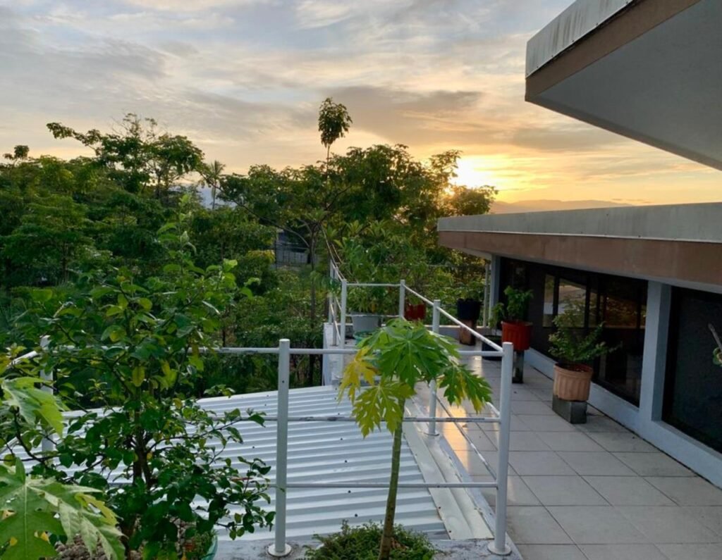 WhatsApp Image 2025-11-04 at 9.03.46 PM (1)