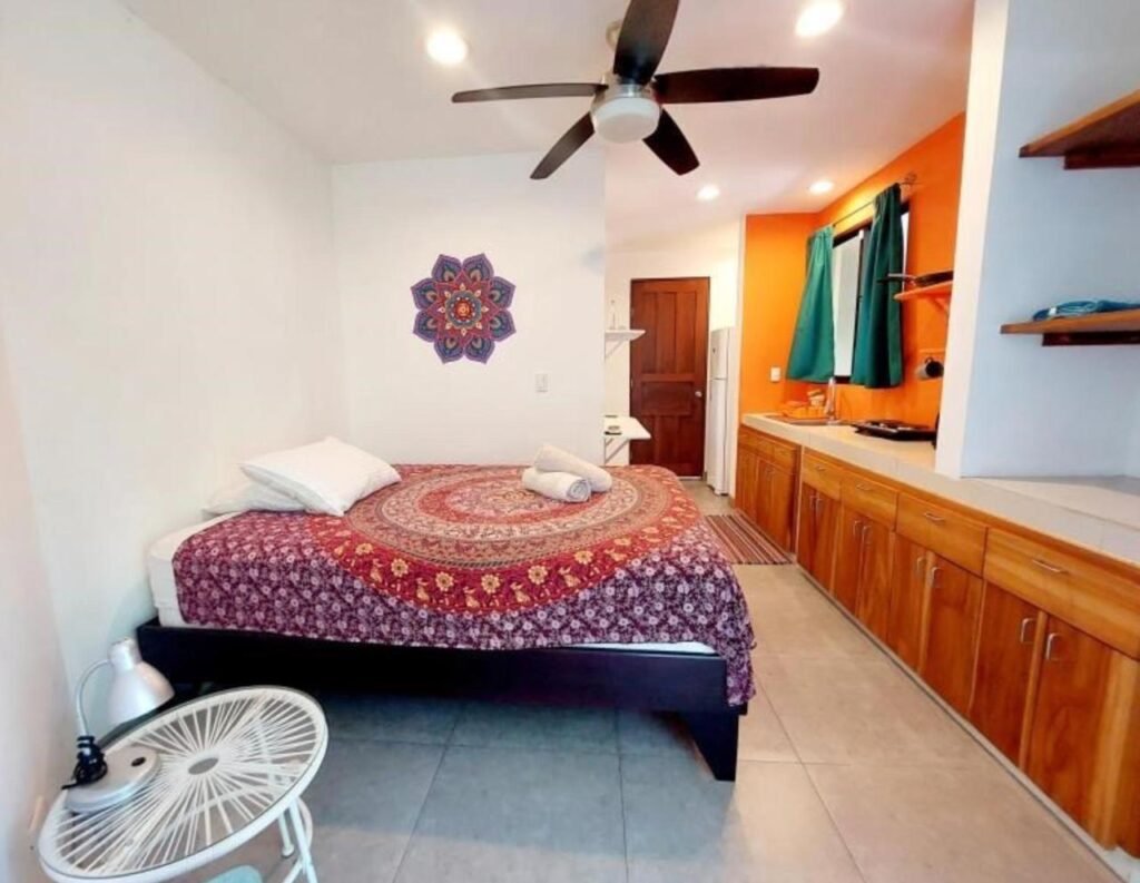 WhatsApp Image 2025-11-04 at 9.03.46 PM