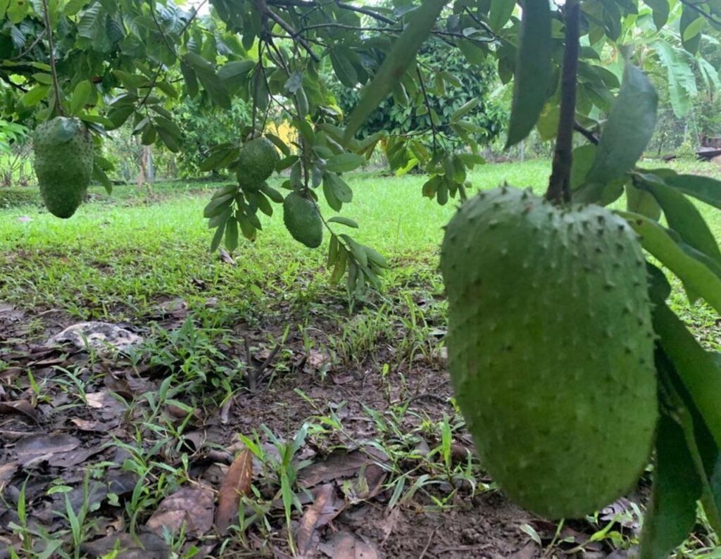 WhatsApp Image 2025-11-04 at 9.03.47 PM (2)