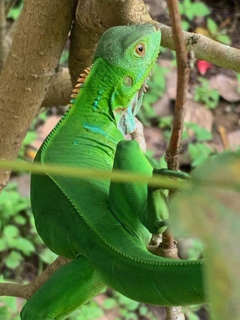 WhatsApp Image 2025-11-04 at 9.03.50 PM