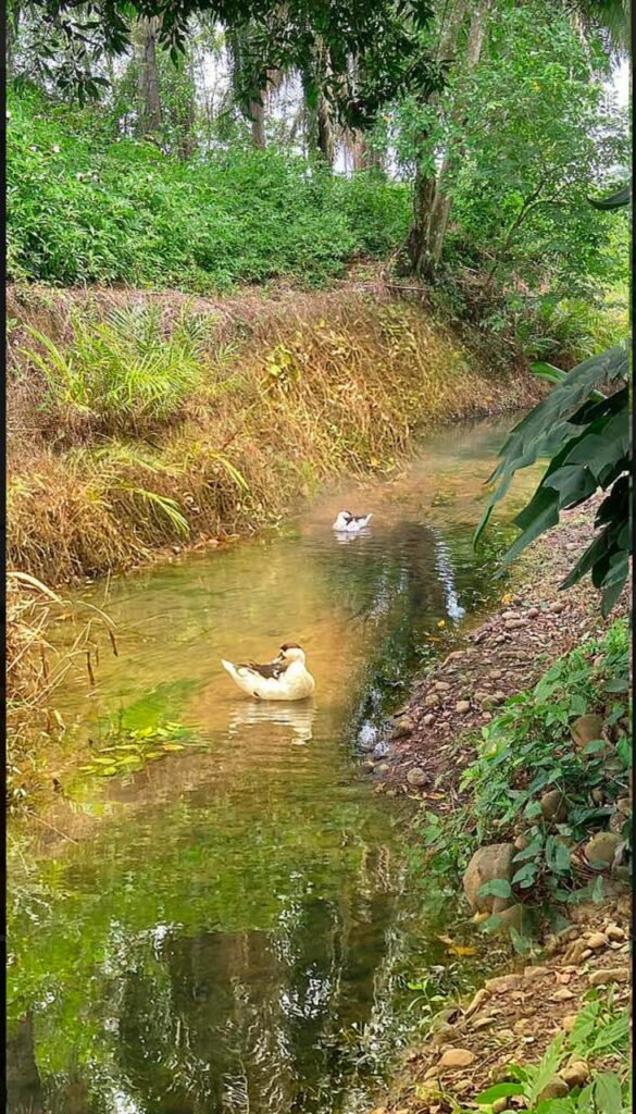 WhatsApp Image 2025-11-04 at 9.44.10 PM (1)