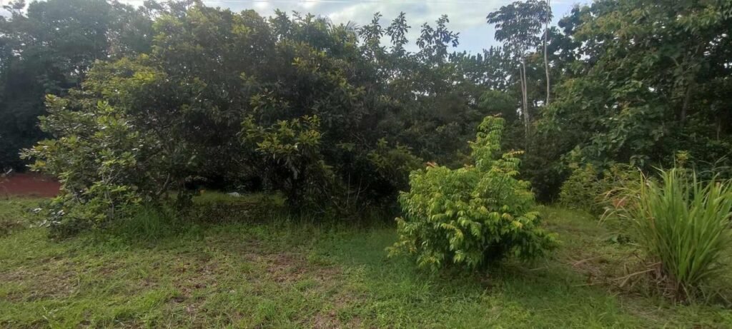 WhatsApp Image 2025-11-05 at 2.05.37 AM