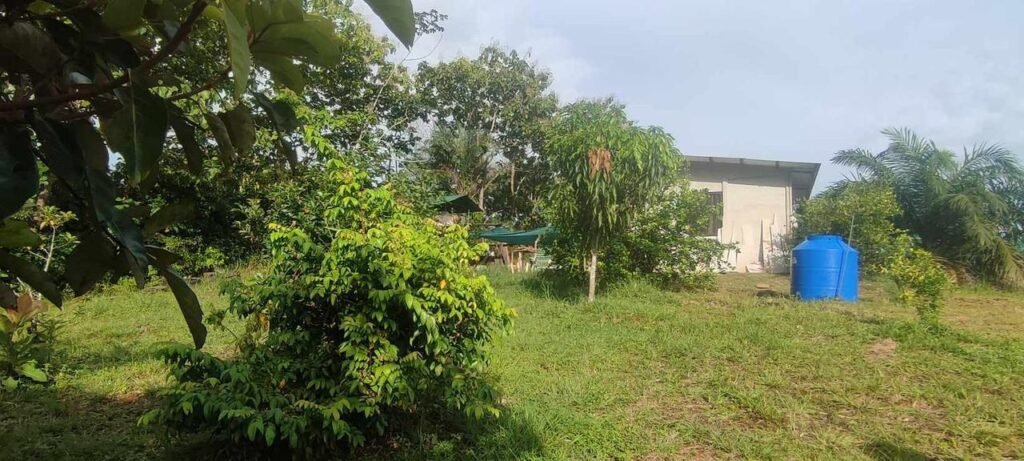 WhatsApp Image 2025-11-05 at 2.05.38 AM (2)