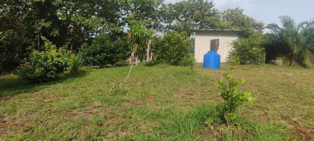 WhatsApp Image 2025-11-05 at 2.05.39 AM