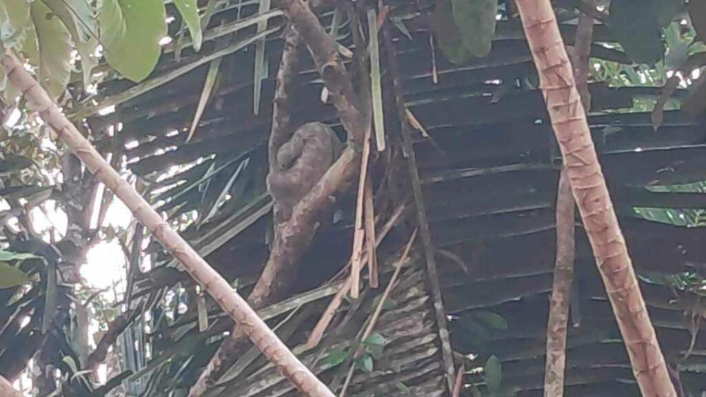 WhatsApp Image 2025-11-05 at 2.05.39 AM (3)