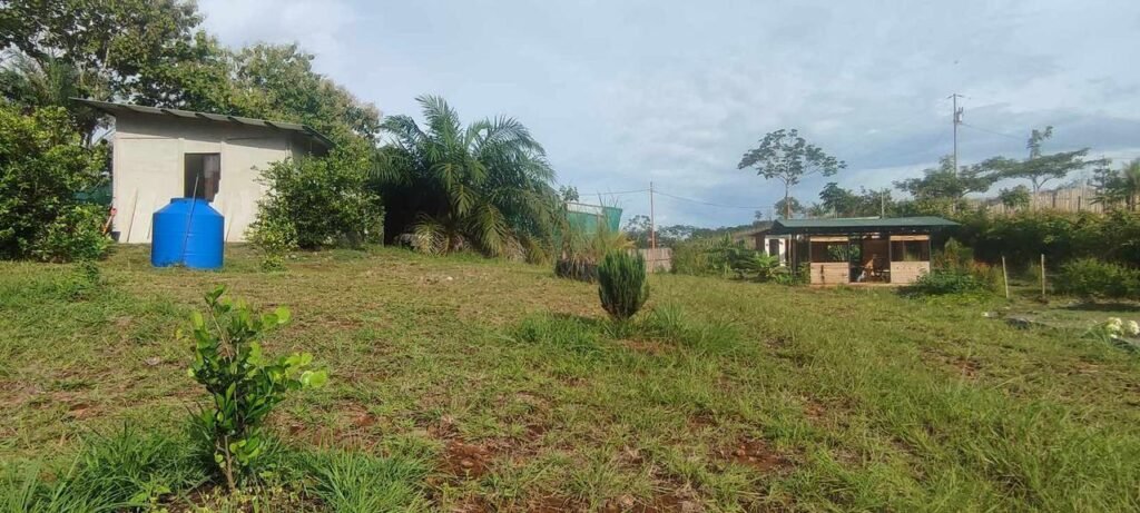 WhatsApp Image 2025-11-05 at 2.05.41 AM