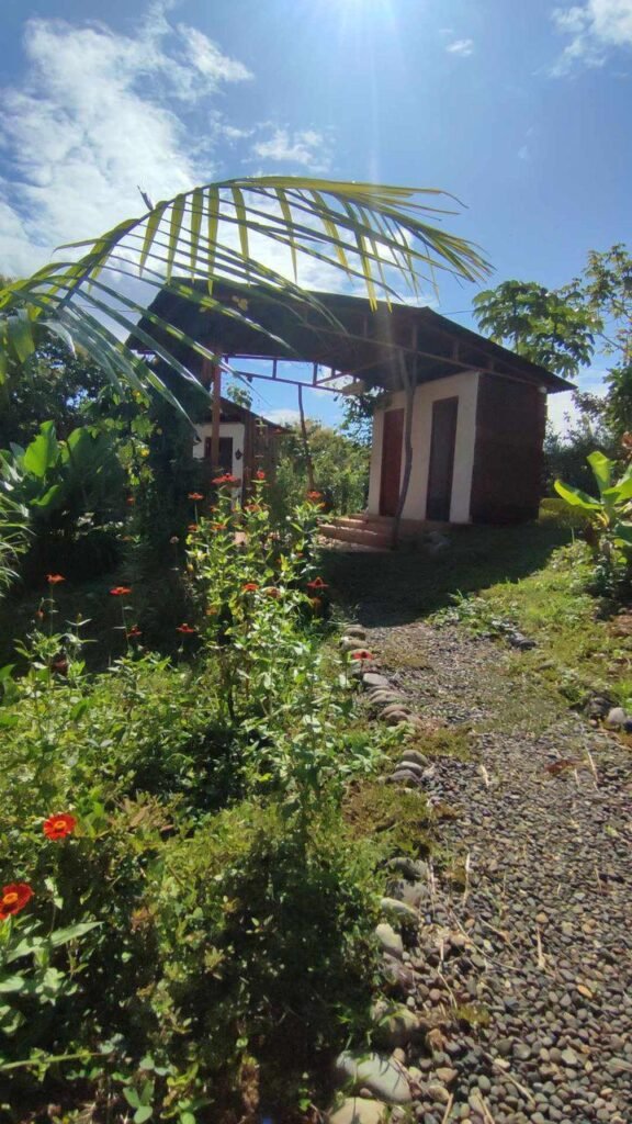 WhatsApp Image 2025-11-05 at 2.05.41 AM (2)