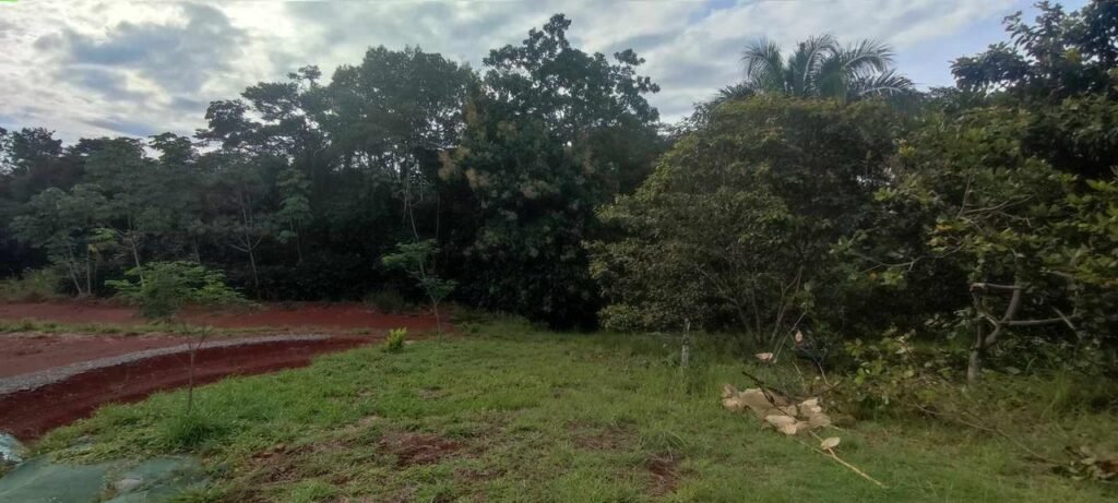 WhatsApp Image 2025-11-05 at 2.05.42 AM