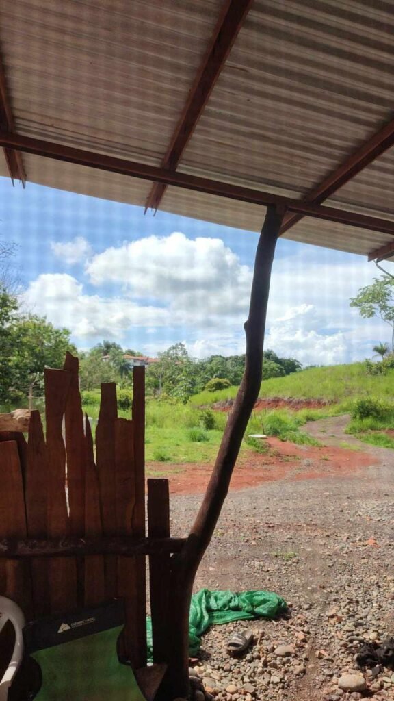 WhatsApp Image 2025-11-05 at 2.05.43 AM (3)