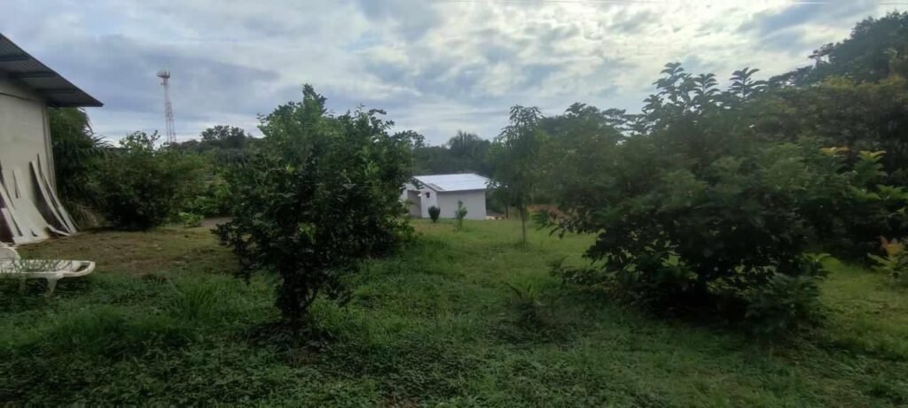 WhatsApp Image 2025-11-05 at 2.05.45 AM