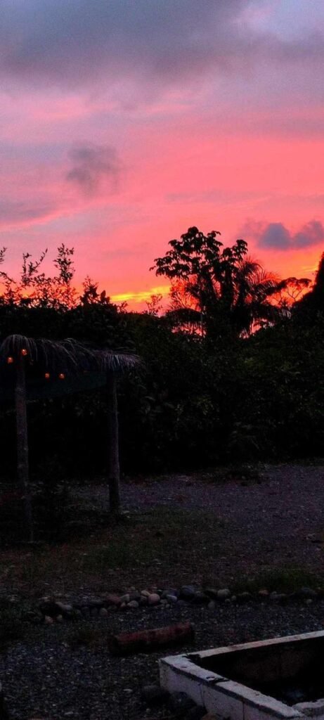 WhatsApp Image 2025-11-05 at 2.05.47 AM