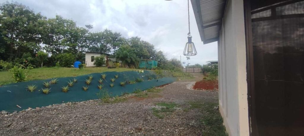 WhatsApp Image 2025-11-05 at 2.05.48 AM (1)