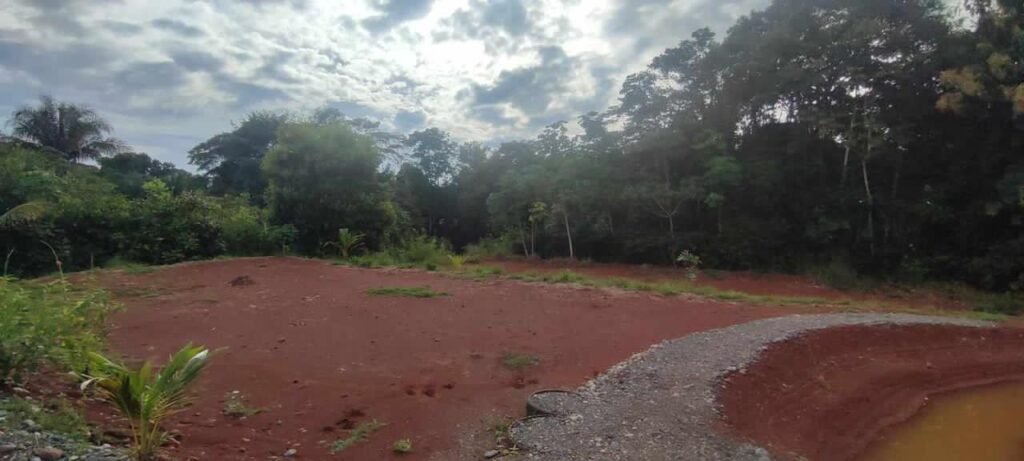 WhatsApp Image 2025-11-05 at 2.05.49 AM