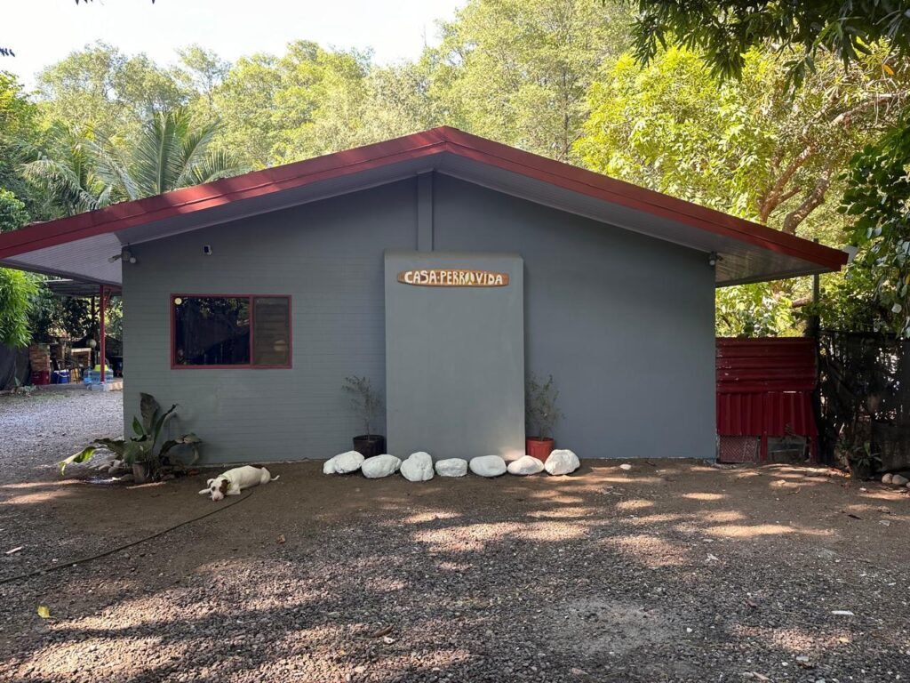 WhatsApp Image 2025-11-05 at 2.19.44 AM (1)