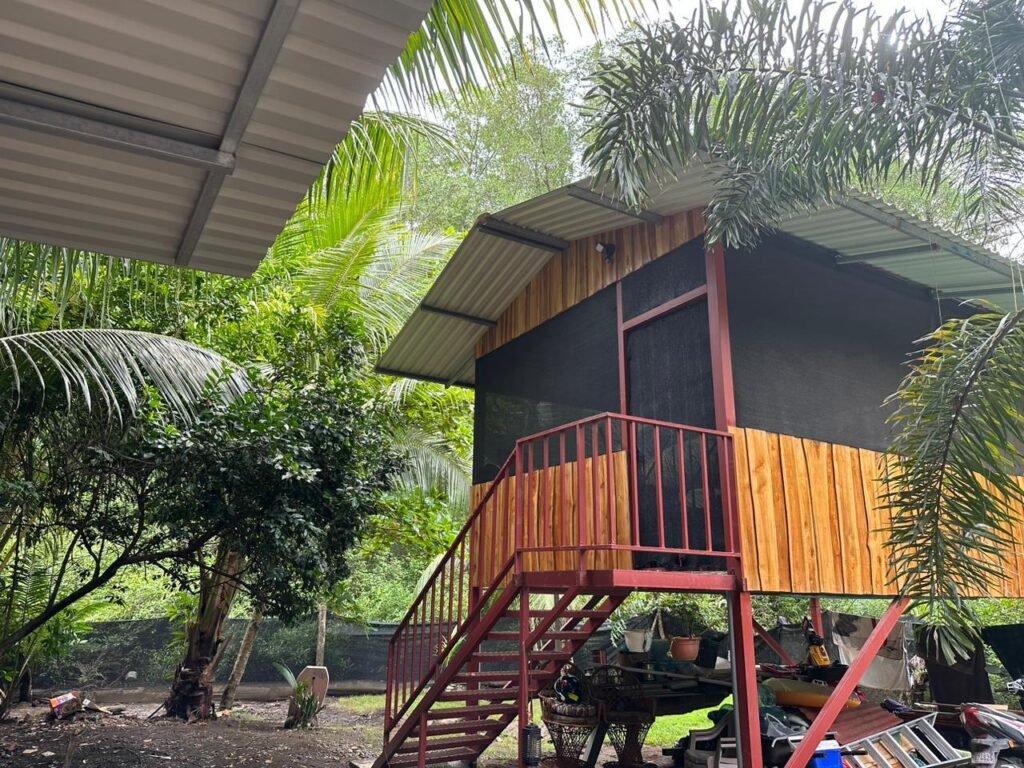 WhatsApp Image 2025-11-05 at 2.19.48 AM