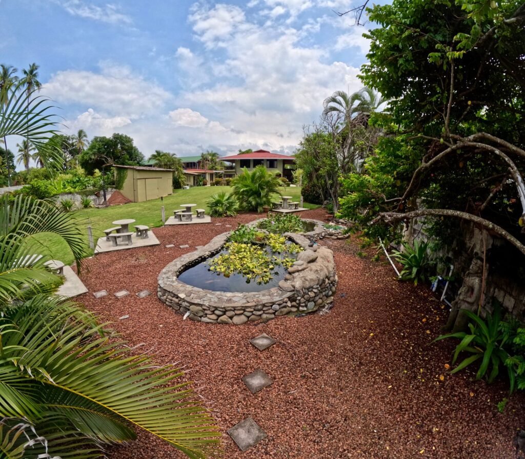 WhatsApp Image 2025-11-05 at 3.46.31 AM (1)