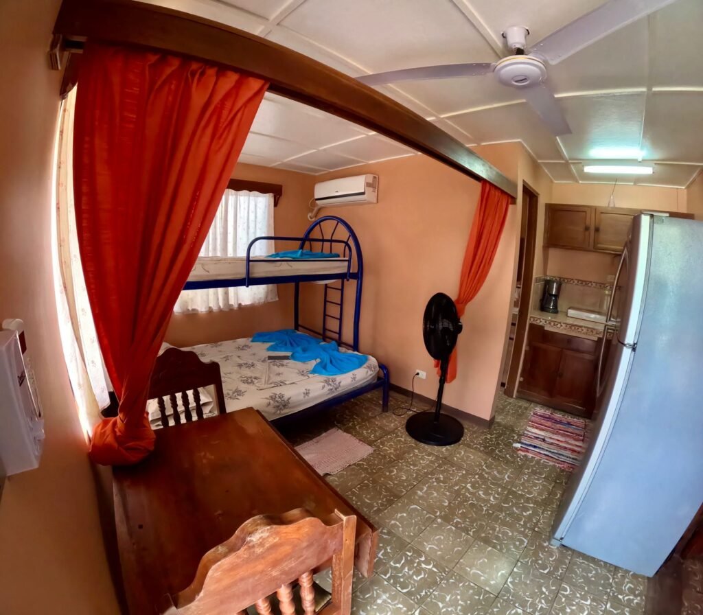 WhatsApp Image 2025-11-05 at 3.46.39 AM (1)